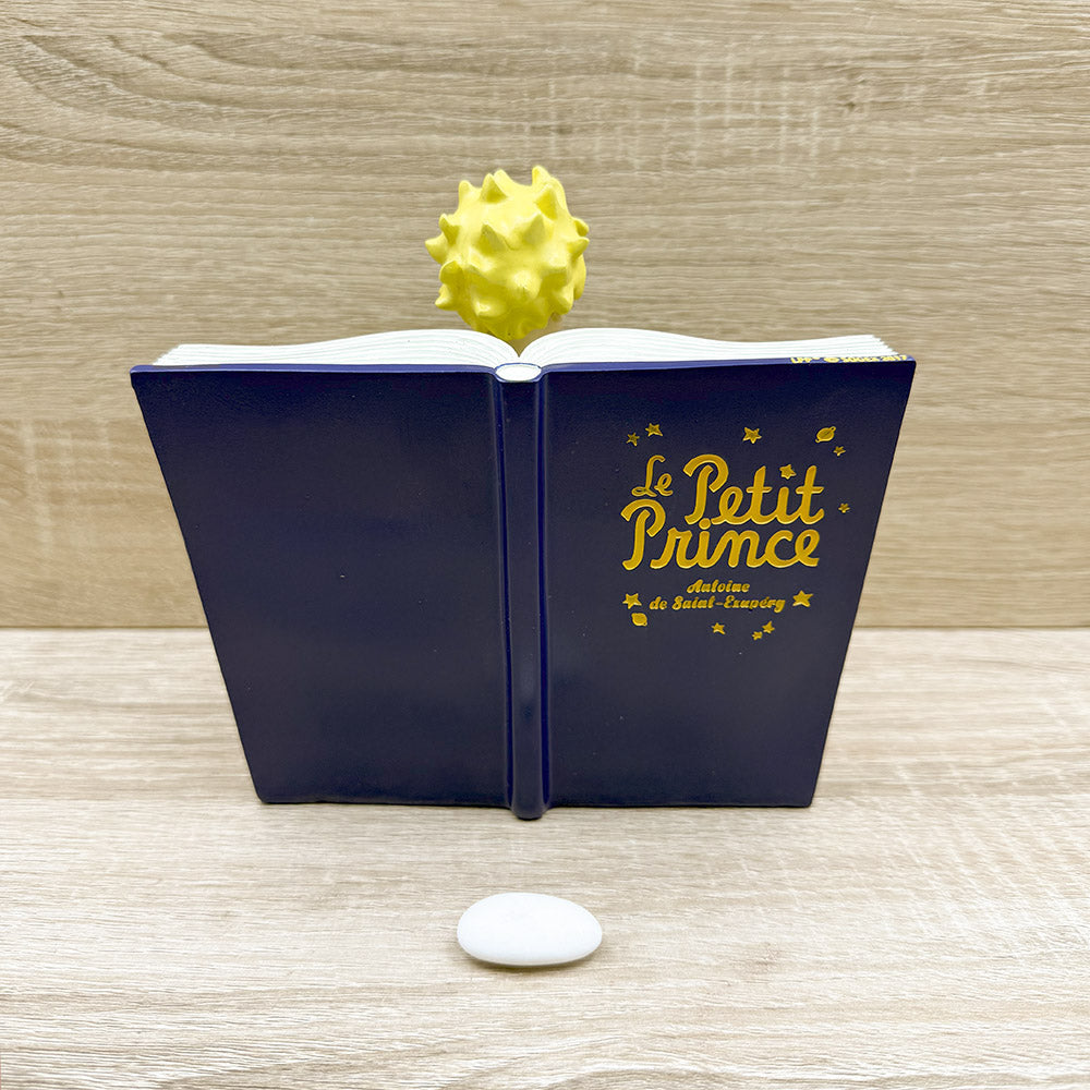 Libro Il Piccolo Principe