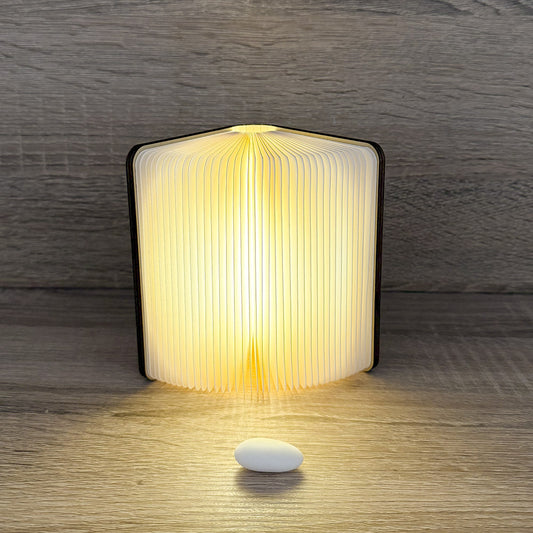 Libro Luminoso Cuore Matto