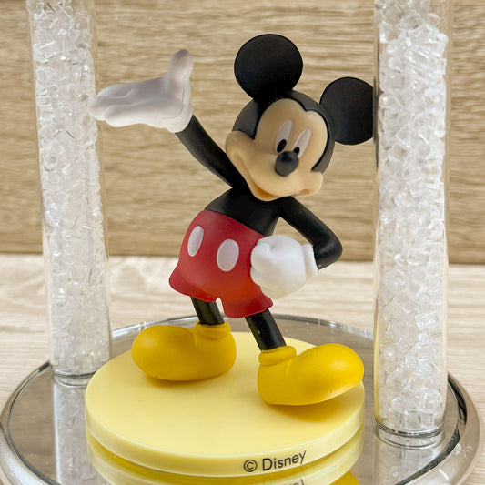 Topolino Disney Orchidea Bomboniere