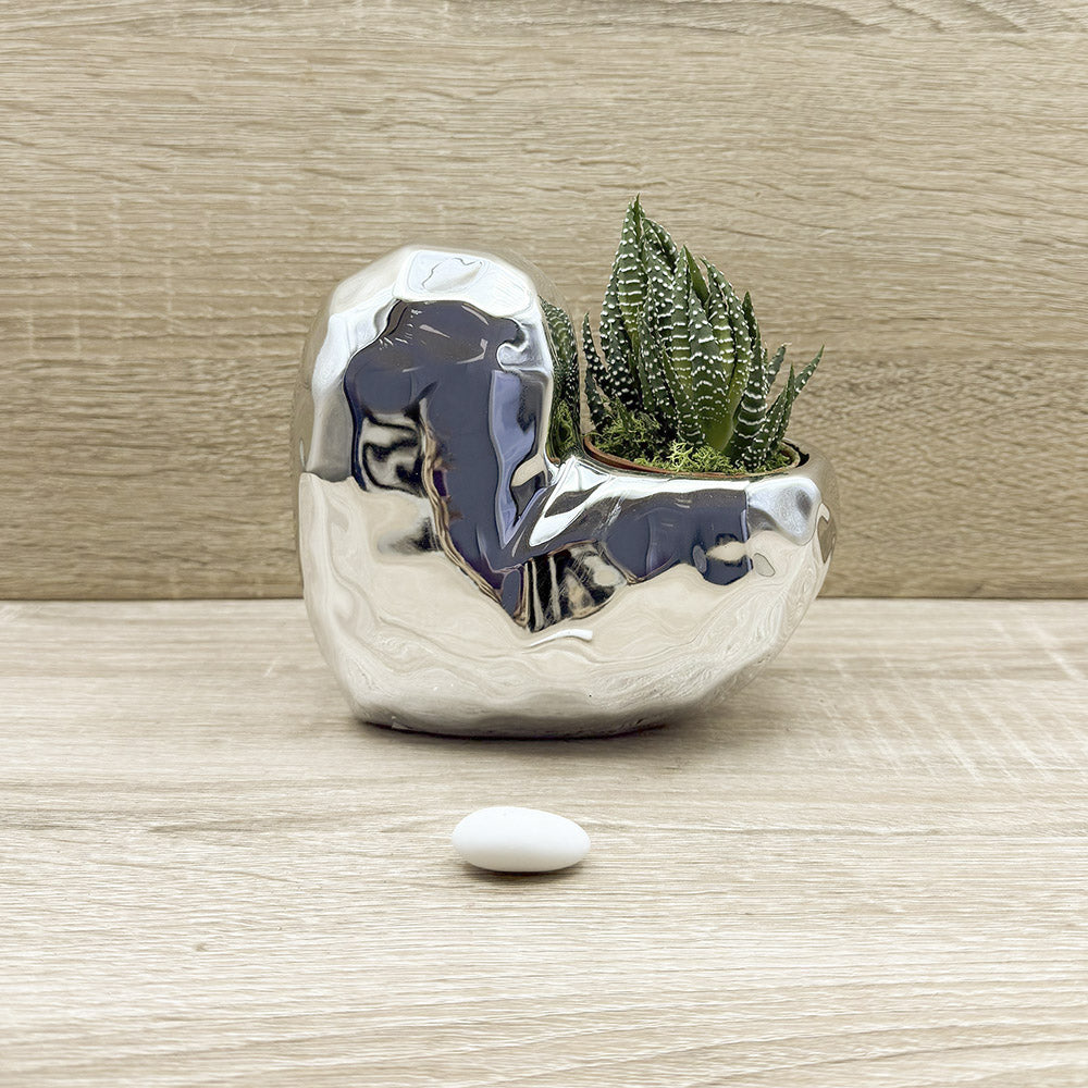 Vaso Cuore Argento con Piantina e Muschio Claraluna