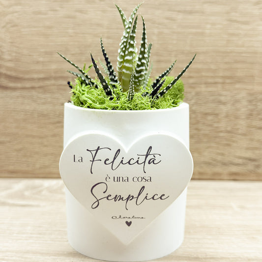 Vaso con Cuore e Piantina Claraluna