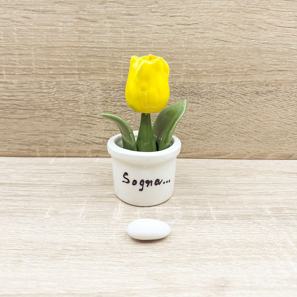Tulipano Giallo Orchidea Bomboniere