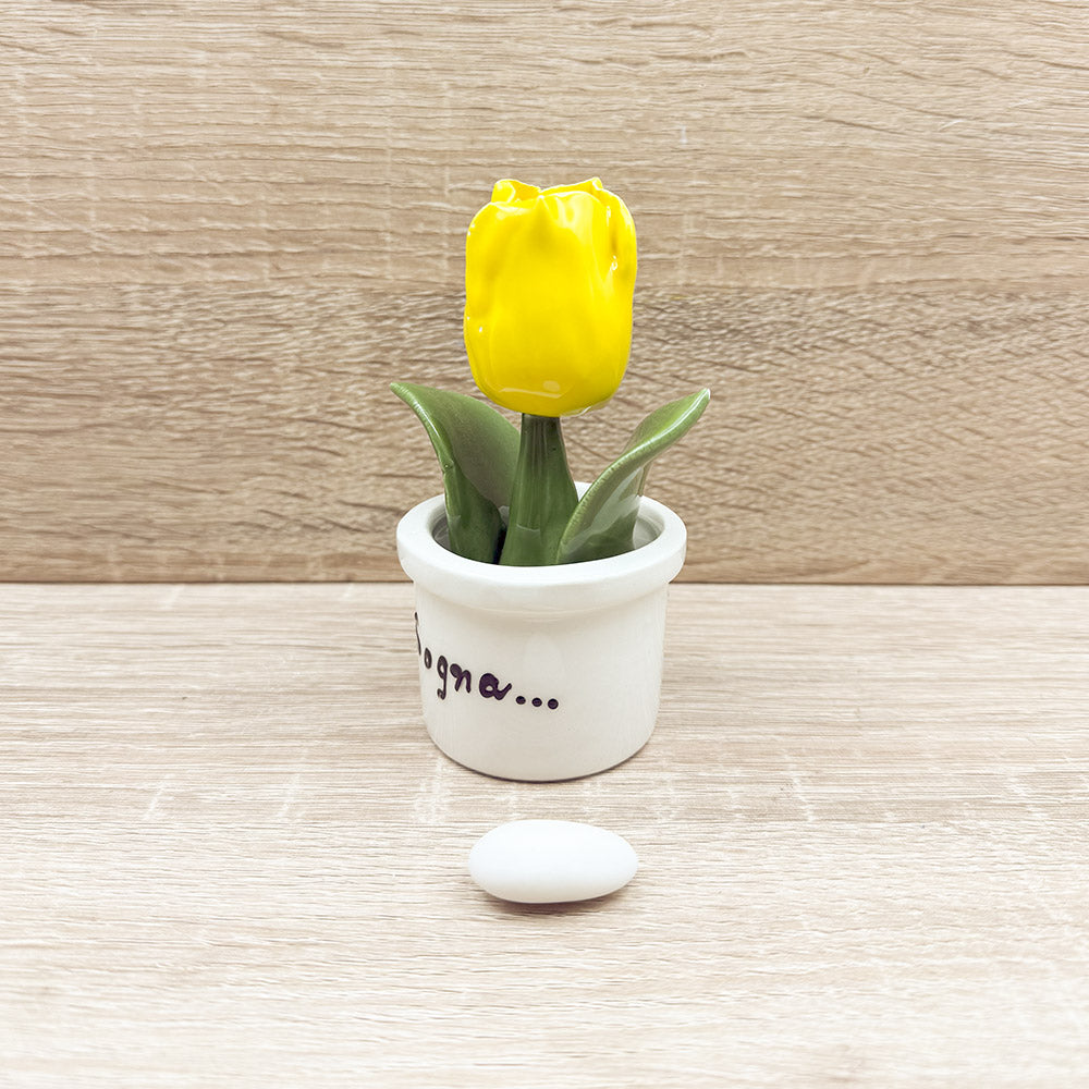 Tulipano Giallo Orchidea Bomboniere