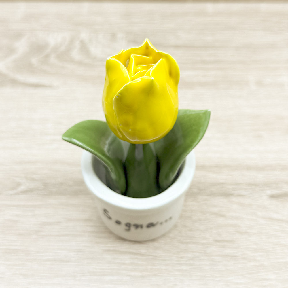 Tulipano Giallo Orchidea Bomboniere