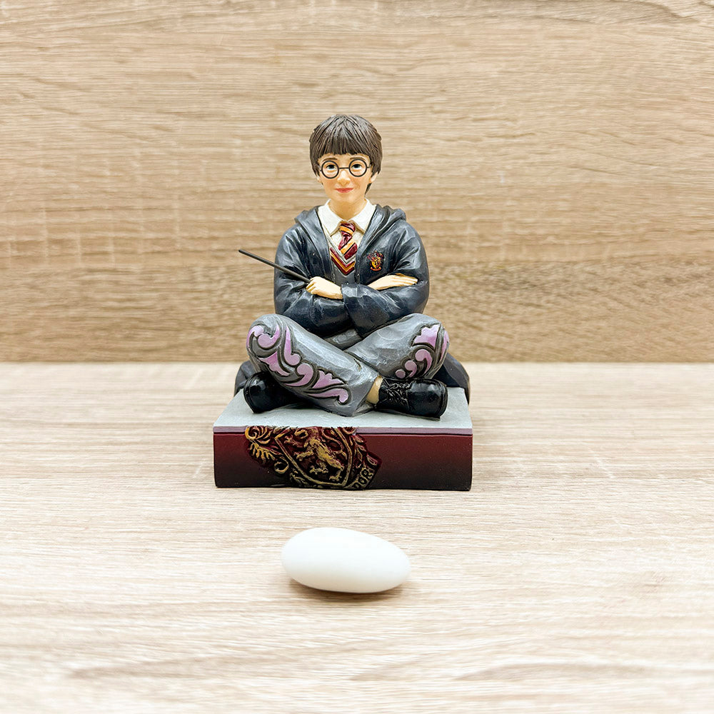 Harry Potter - Harry Potter Collection