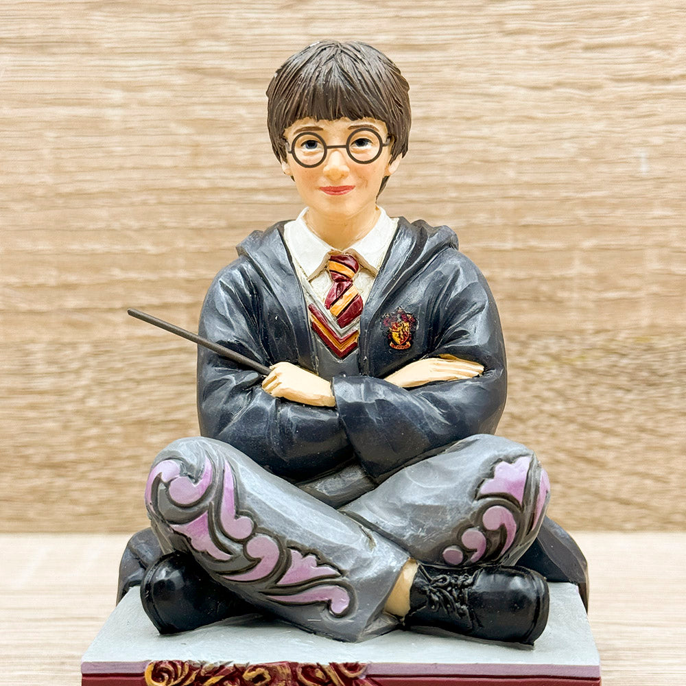 Harry Potter - Harry Potter Collection