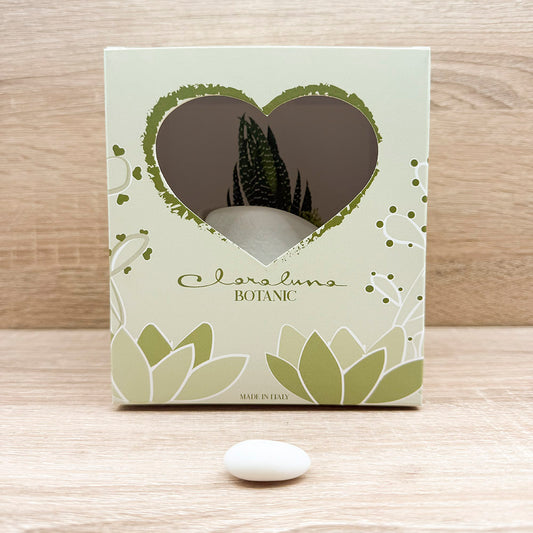 Vasetto Cuore Bianco Piccolo con Piantina e Muschio Claraluna