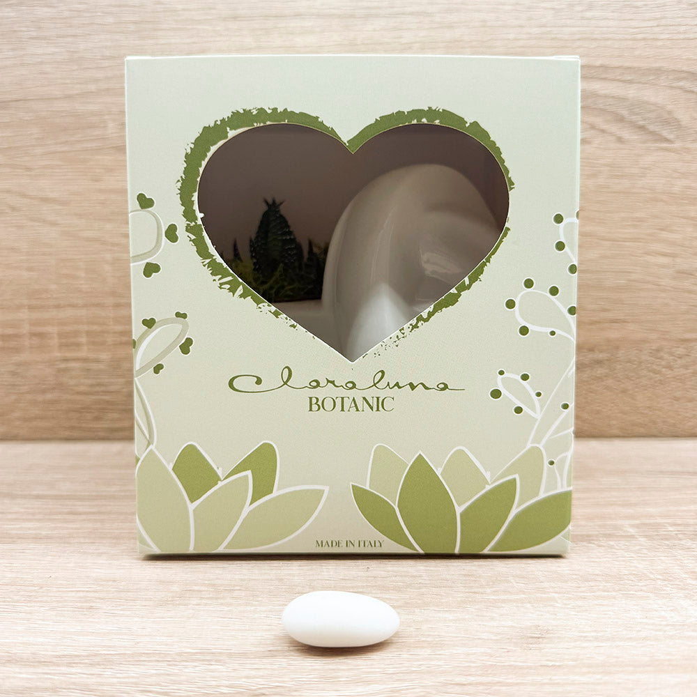 Vaso Cuore Bianco con Piantina e Muschio Claraluna