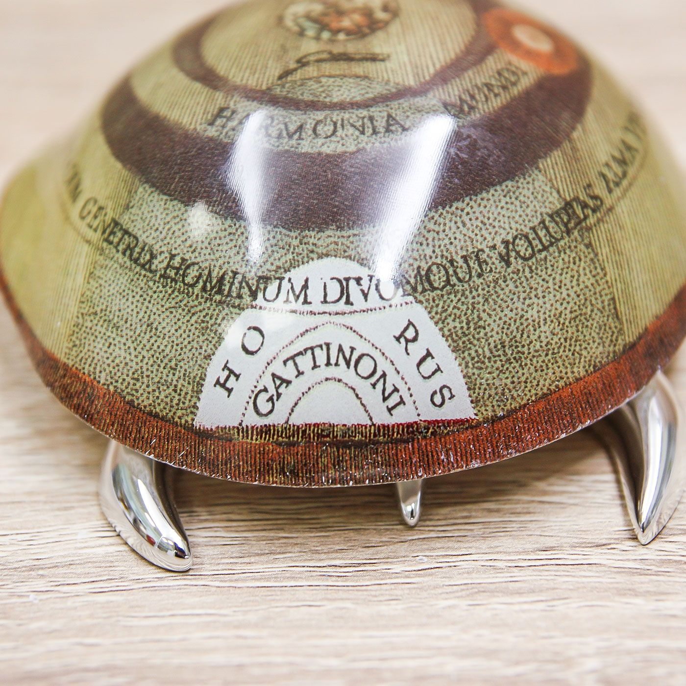 Tartaruga Classic Gattinoni