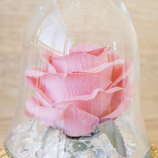 Campana Cristallo con Rosa Via Margutta