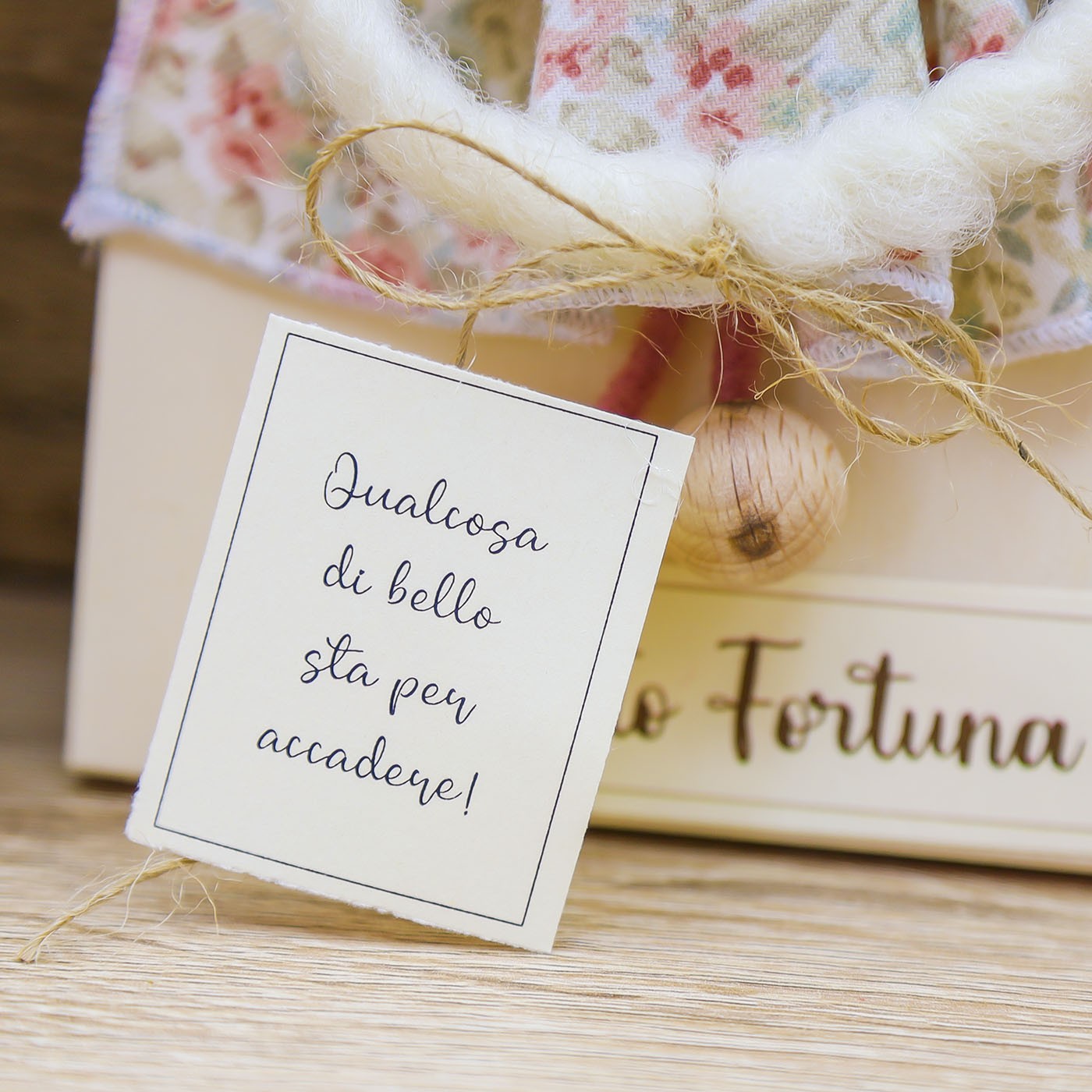 Folletto Fortuna Beccalli for Life