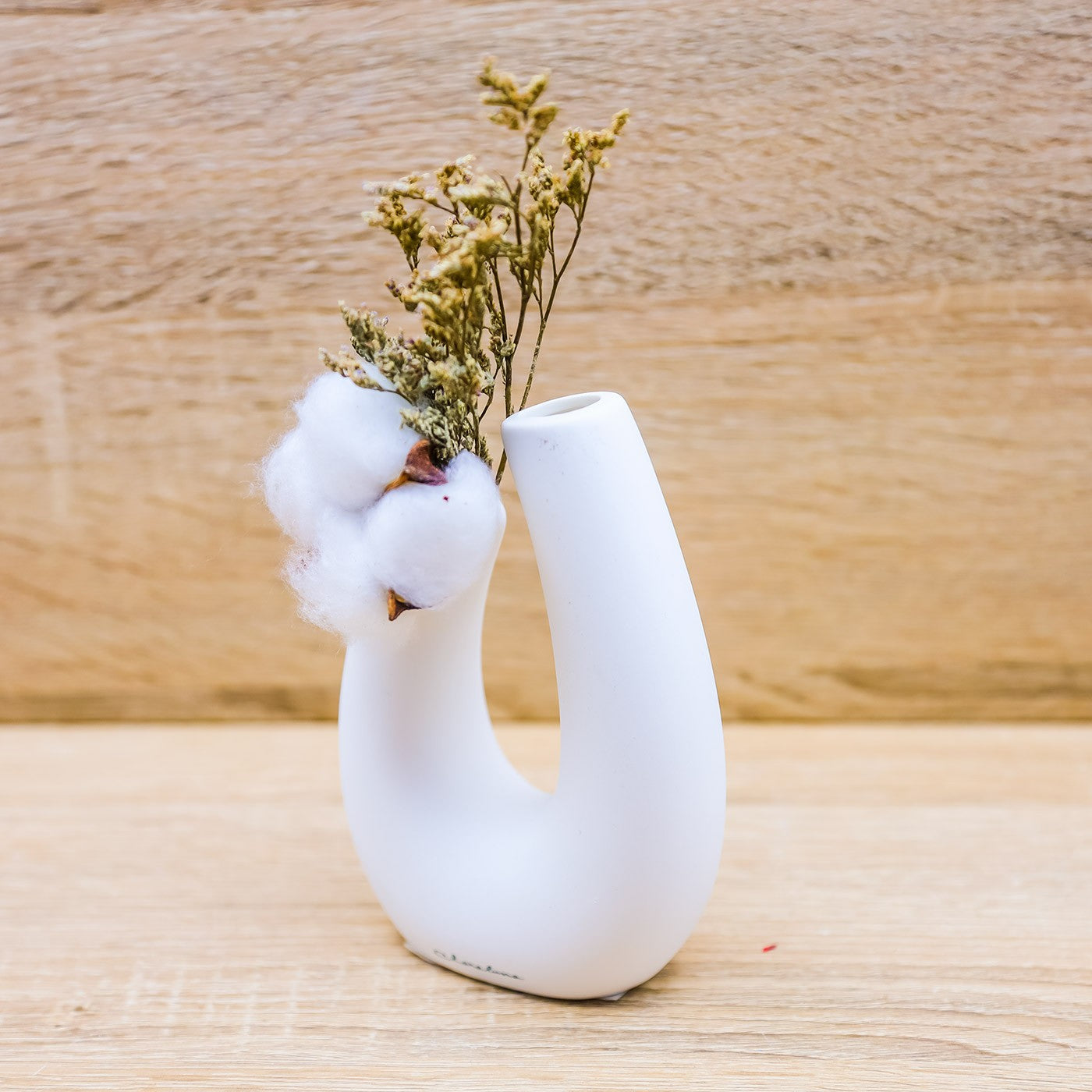 Vaso con Steli di Cotone Claraluna