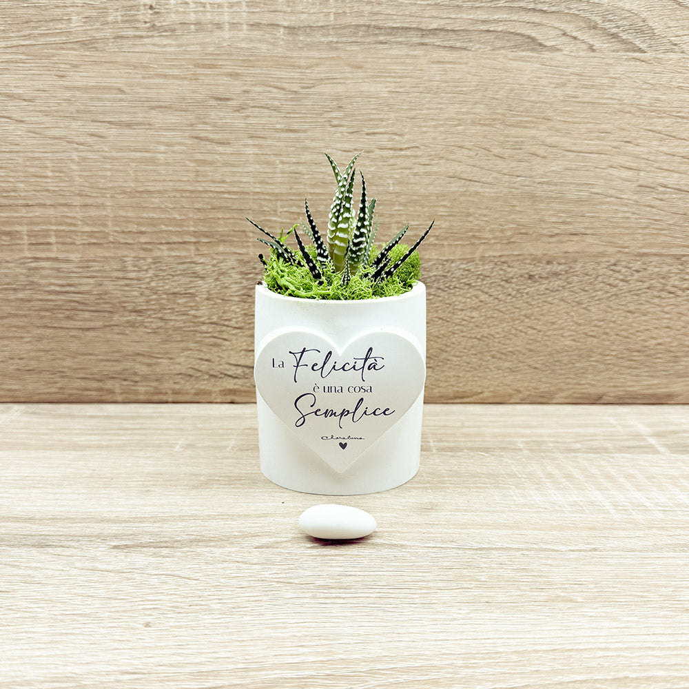 Vaso con Cuore e Piantina  Claraluna