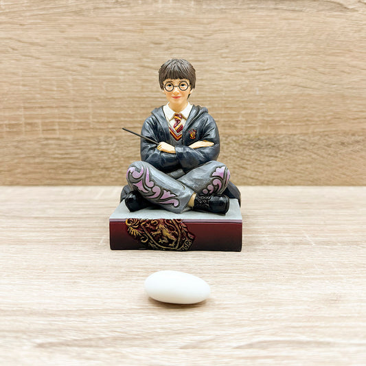 Harry Potter - Harry Potter Collection