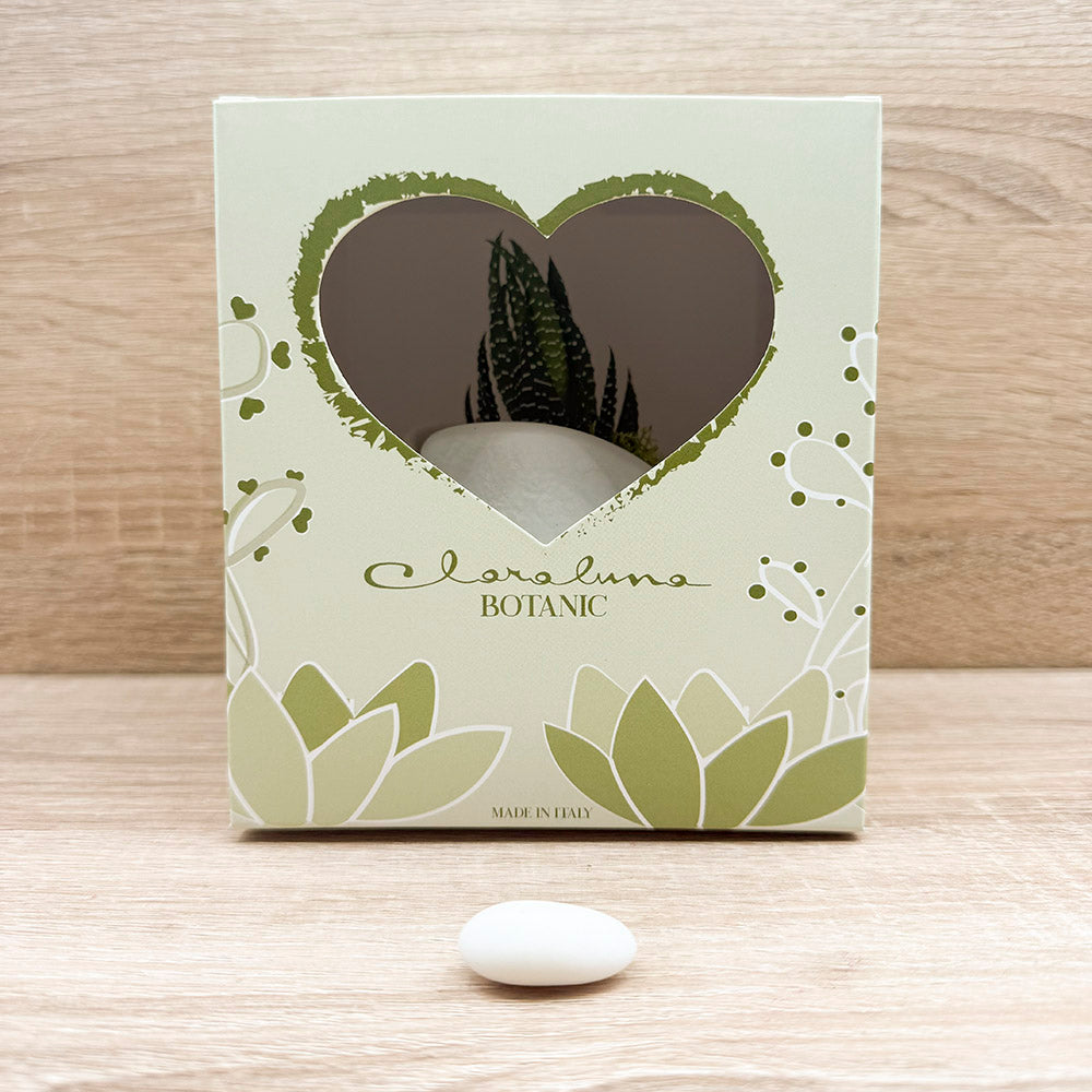 Vasetto Cuore Bianco Piccolo con Piantina e Muschio Claraluna