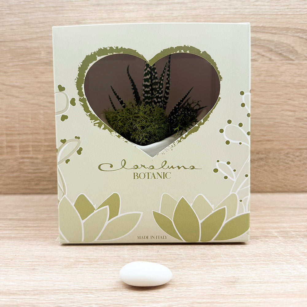 Vasetto Cuore Bianco con Piantina e Muschio Claraluna