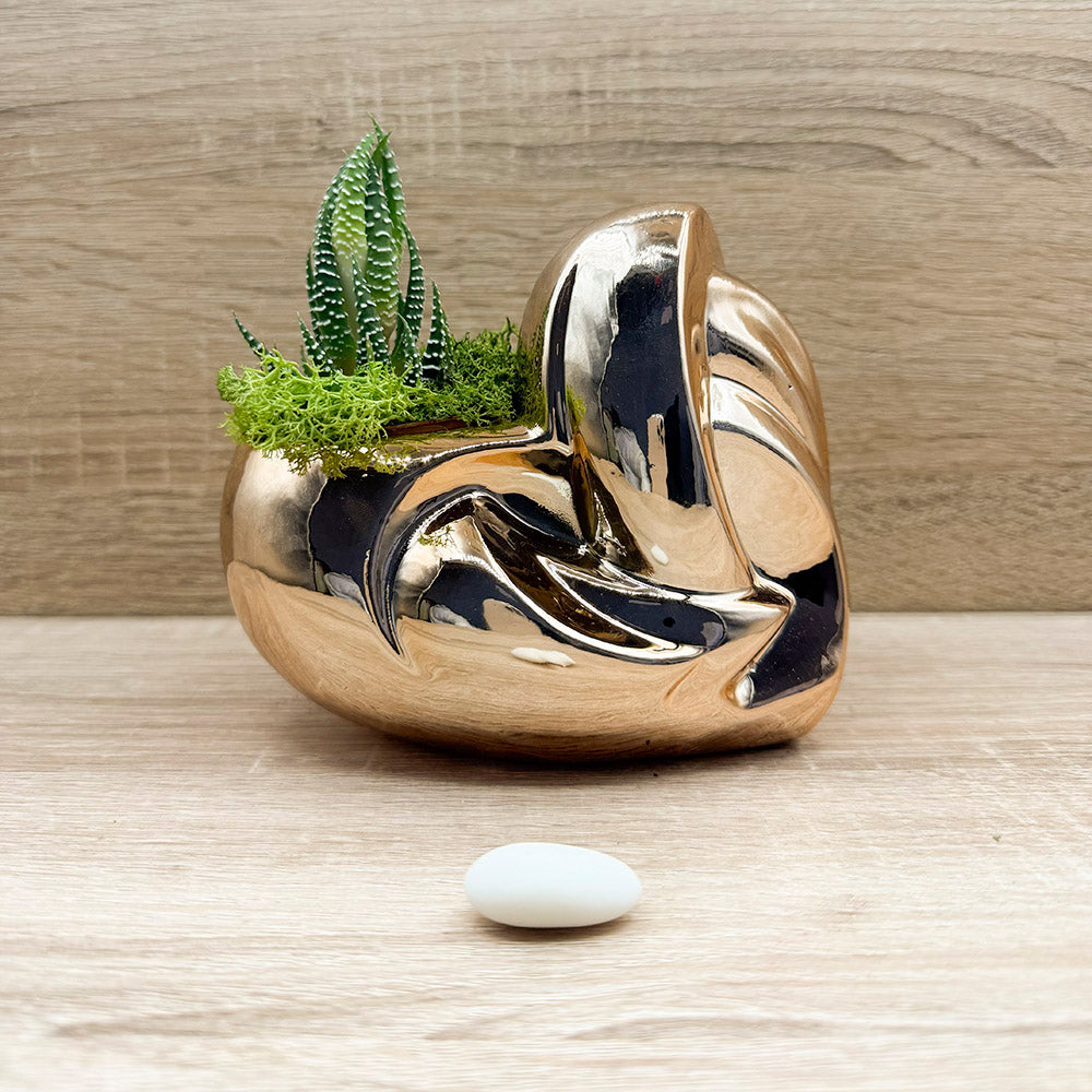 Vaso Cuore Oro Rosa con Piantina e Muschio Claraluna