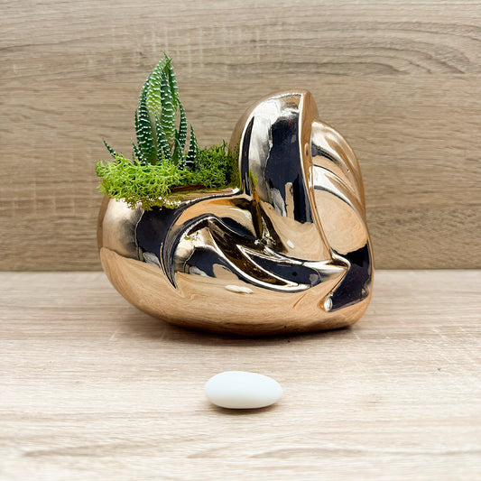 Vaso Cuore Oro Rosa con Piantina e Muschio Claraluna