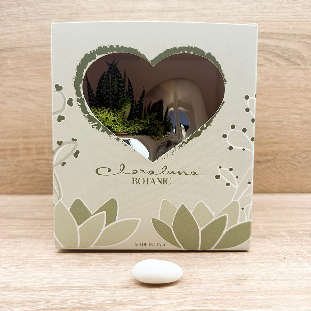 Vaso Cuore Oro Rosa con Piantina e Muschio Claraluna