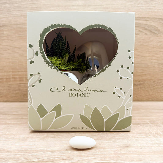 Vaso Cuore Argento con Piantina e Muschio Claraluna