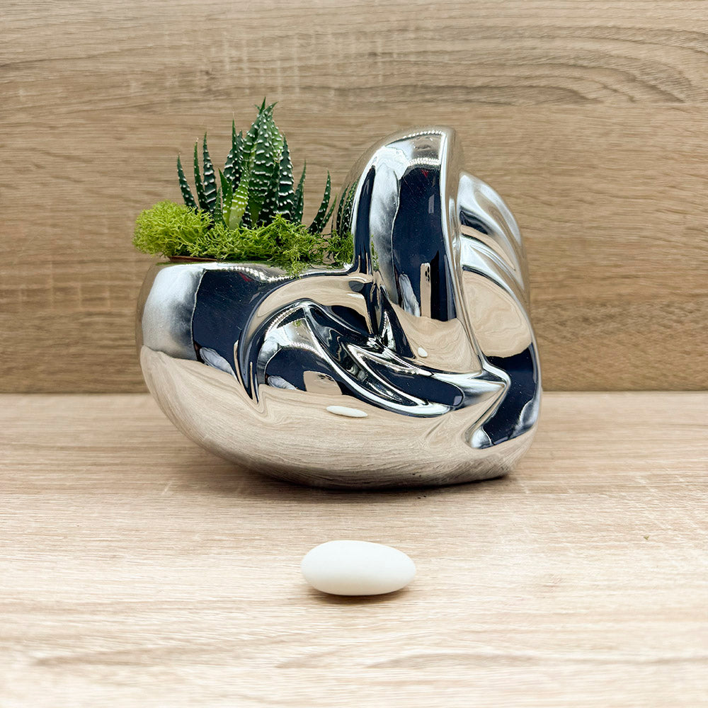 Vaso Cuore Argento con Piantina e Muschio Claraluna