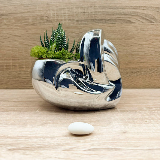 Vaso Cuore Argento con Piantina e Muschio Claraluna